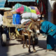 TK-sud transporteur de colis & export Maroc