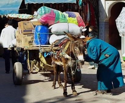 TK-sud transporteur de colis & export Maroc